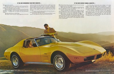 1974 Chevrolet Corvette-02-03.jpg